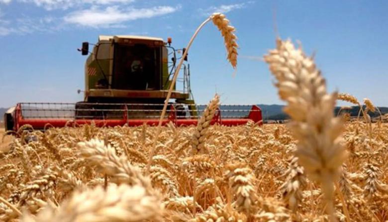 Desde la CARBAP alertan: “No se ve una solución en el corto plazo”
