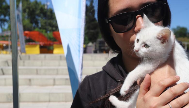Turnos para castrar a las mascotas en NIDO Villa Jardín