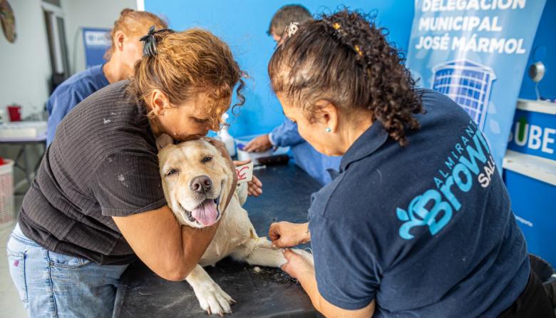 Zoonosis Brown desembarcó con un punto fijo de castración en Glew