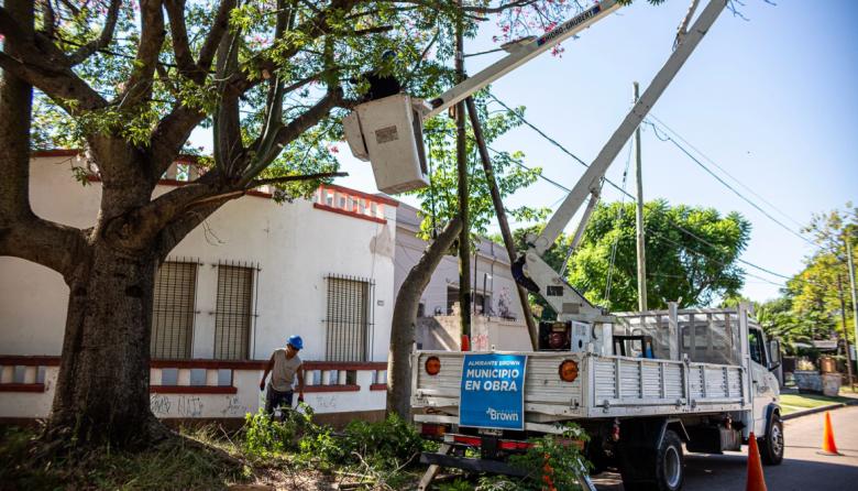 Profundizan operativos de despeje de luminarias