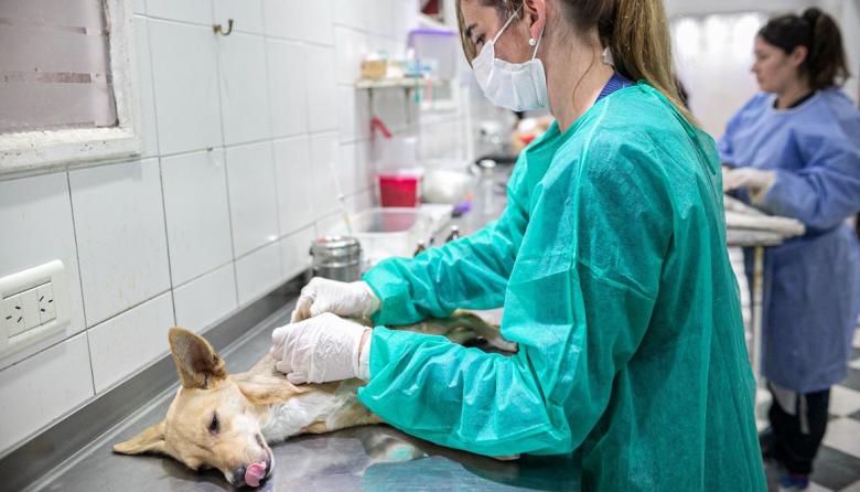 Nuevo servicio antirrábico en Almirante Brown