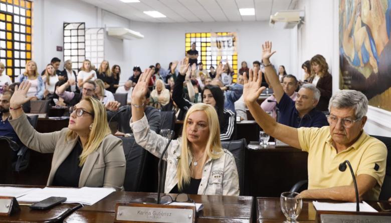 Aprueban la creación del Consejo Consultivo Honorario en Discapacidad