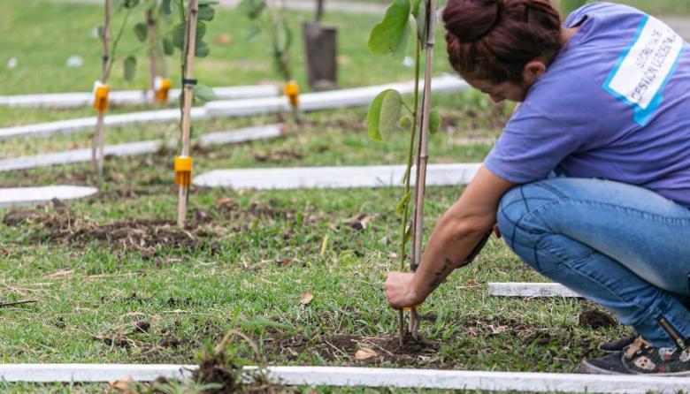 Operativo de forestación en el Parque Don Orione