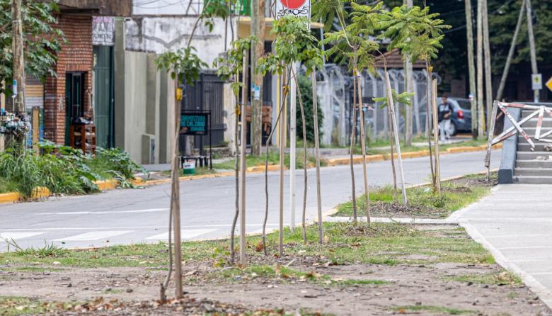 El Municipio forestó con más de mil plantas nativas