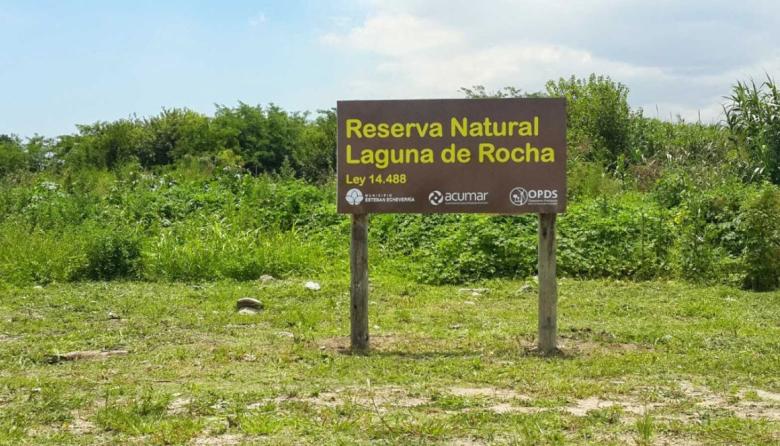 Alertan por un proyecto que podría afectar la protección de la reserva Laguna de Rocha