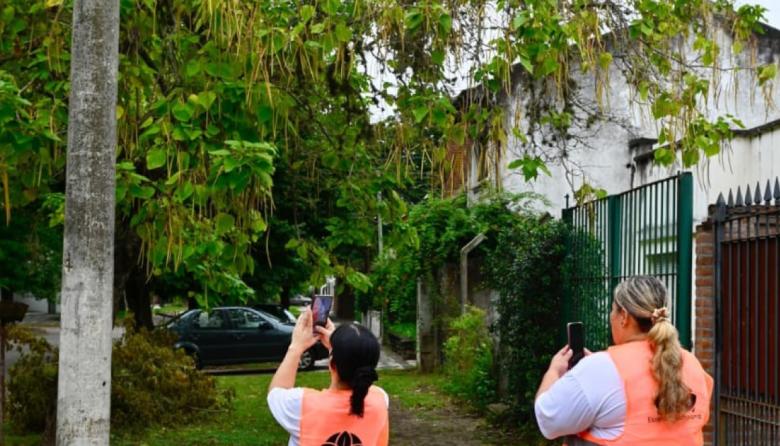 El Municipio denunció el mal estado de postes y cables de Edesur ante el ENRE