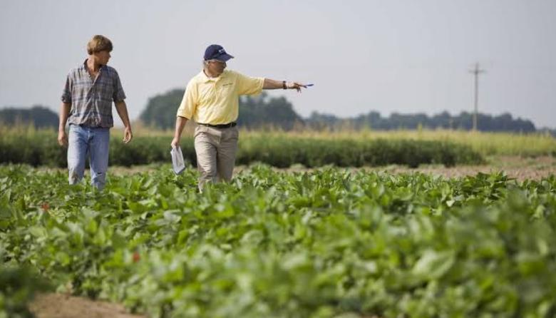 La Federación Agraria contra la desregulación: "Es necesaria la Ley de Arrendamiento"