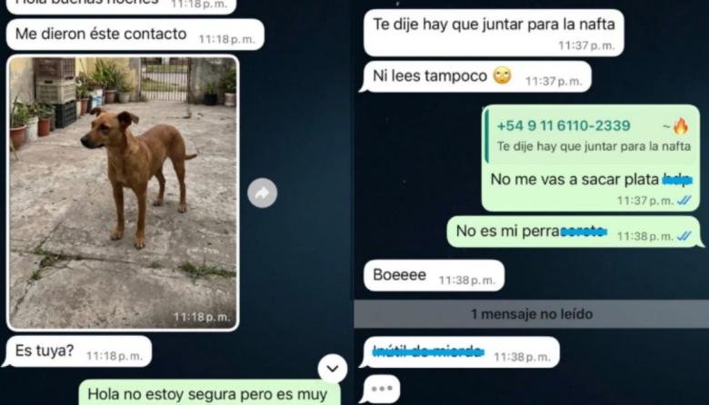 Perdió a su mascota por los festejos del Mundial y la quisieron estafar con IA