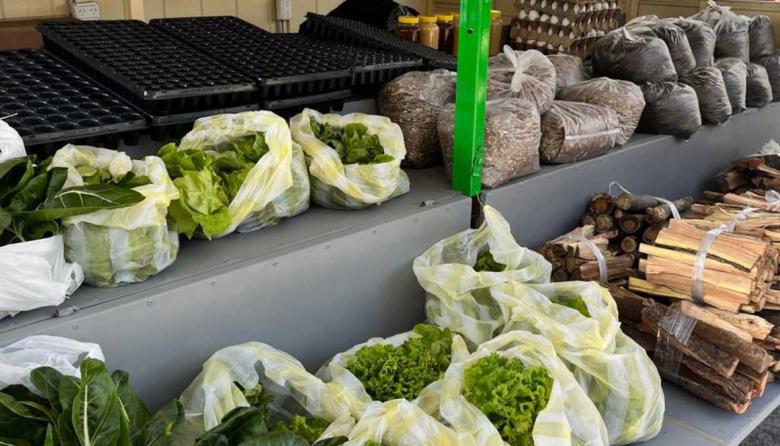 “Carro Almacén Don Nino”: la Facultad de Ciencias Agrarias ofrece sus productos a la comunidad