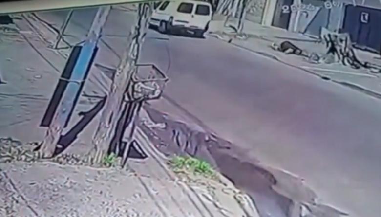 El pedido de la hija del jubilado atropellado: “Necesito testigos”