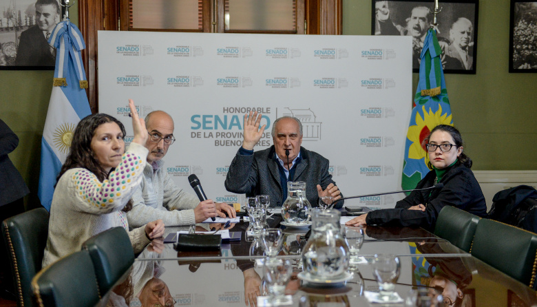 Avanzan los proyectos de industria farmacéutica y sistema integrado de salud en el Senado provincial