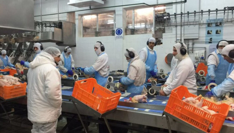 Granja Tres Arroyos: 500 despedidos en la planta de Echeverría