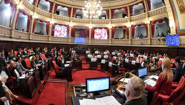 El Senado aprobó con modificaciones la Ley Ema y postergó los expedientes de salud