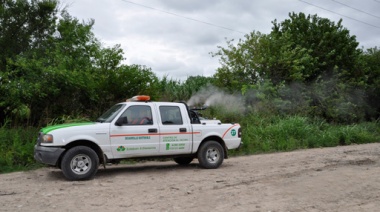 El Municipio realiza trabajos de fumigación y desratización