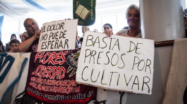 ¿En qué consiste la ordenanza sobre cannabis medicinal que se aprobó en Lomas?