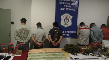 Allanan un "invernadero de marihuana" en una casa de Banfield