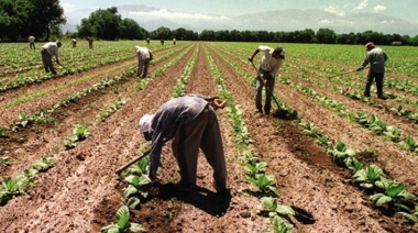 Polémica entre gremios por la cantidad de trabajadores rurales no registrados en el país