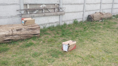 ¡Verguenza! Desvalijaron un jardín de infantes en Monte Grande