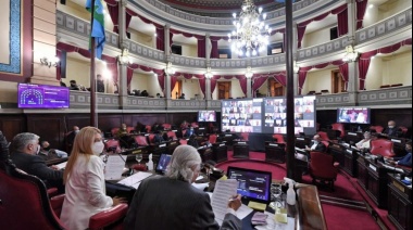 Senadores del FdT acusaron a Clarín y a la oposición de “confundir y engañar anteponiendo intereses políticos”