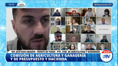 En Diputados continúa el debate por el proyecto para modificar la ley de ganadería ovina