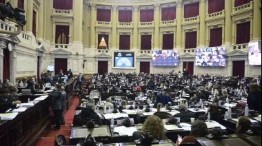 Diputados destacan el proyecto de ley que convierte planes sociales en empleo