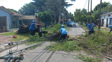 Operativo del Municipio de Almirante Brown frente al temporal que afectó a la Región