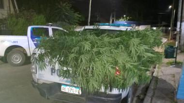 Llamaron a la Policía por un conflicto familiar pero encontraron 15 kilos de marihuana