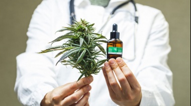 La Defensoría del Pueblo bonaerense ayudará a las ONG que busquen ser proveedoras de cannabis medicinal