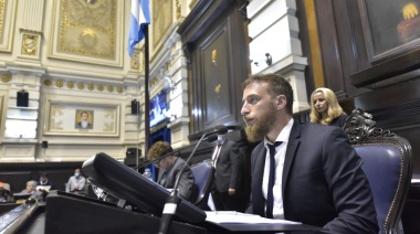 Diputados votó afirmativamente el Consenso Fiscal y el Plan Estratégico de Parto Respetado