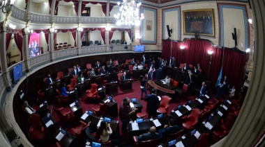 El Senado convalidó el nombramiento de Federico Thea en el Tribunal de Cuentas