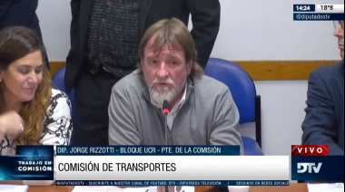 Diputados analizará la ley de alcohol cero al volante