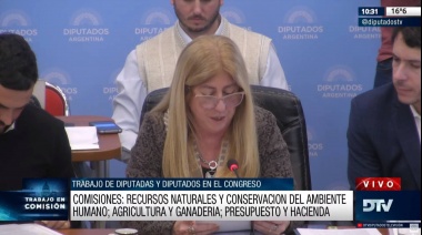 Analizarán un régimen de presupuestos mínimos para la preservación de humedales