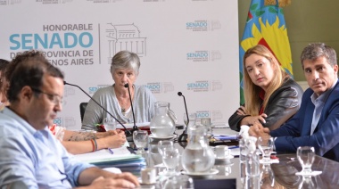 La Comisión de Educación del Senado bonaerense aprobó 28 proyectos