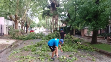 Realizaron trabajos de desobstrucción de desagües y despeje de ramas de las calles