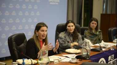 Diputados avanzó con el proyecto para tipificar la figura de violencia digital