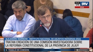 Diputados trabajará en la creación de comisiones