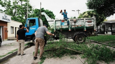 Un centenar de techos volados y árboles y postes caídos, las consecuencias del temporal en Lomas