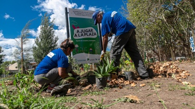 El Municipio avanza con la forestación de espacios y paseos públicos
