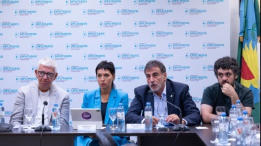 Diputados apura su primera sesión ordinaria para el miércoles 20 de marzo