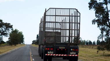 El transporte de cargas, otro rubro que sufre la crisis económica