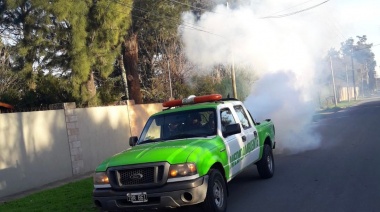 Avanzan los operativos de fumigación