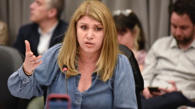 Litza encabeza el debate para modificar la ley que regula los DNU