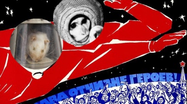 El ratón Belisario y el mono Juan, los primeros astronautas argentinos