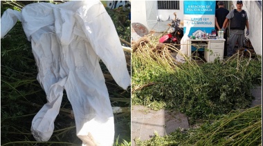 Detuvieron a "El Químico": tenía un inverdadero de marihuana y montó un laboratorio