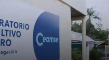CEAMSE presenta su nueva identidad de marca: "Campeones del Planeta"