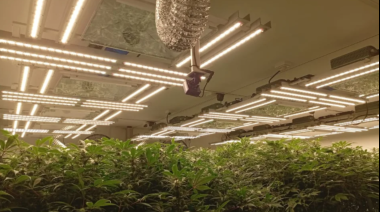 Administraba un laboratorio de marihuana y hacía velivery de drogas cerca de un shopping