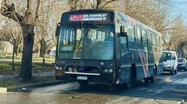 Por las elecciones, en Lomas el 7 de septiembre el viaje en colectivo será gratuito