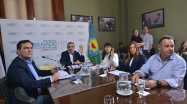El peronismo busca tratar en el Senado la Ley Audiovisual de Kicillof