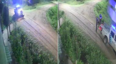 Piden justicia por "Aquiles", un perro atropellado por un patrullero en San Vicente