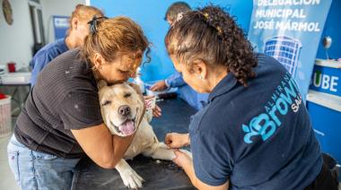 Zoonosis Brown desembarcó con un punto fijo de castración en Glew